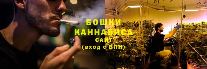 Марихуана OG Kush  Вуктыл 